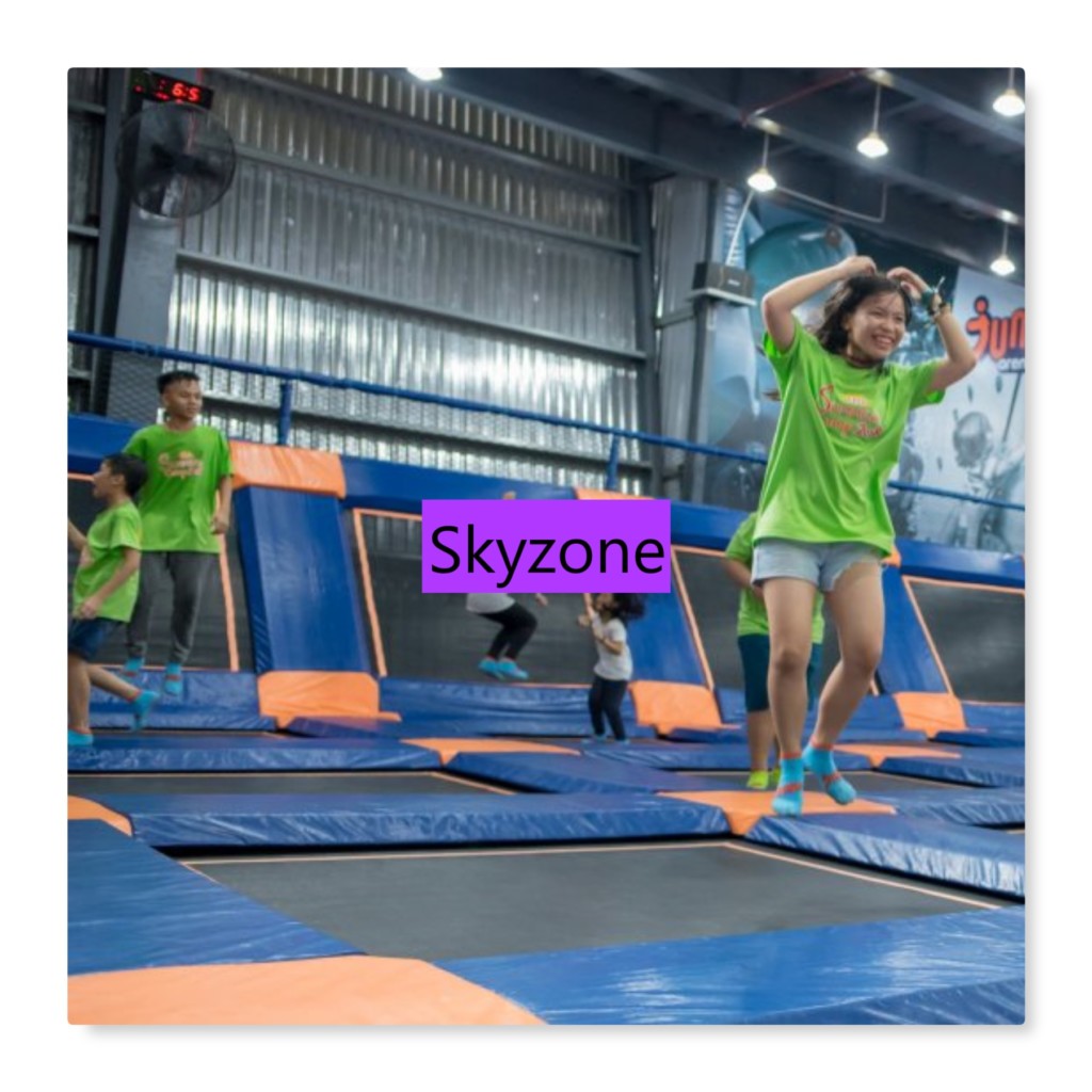 skyzone mississauga birthdays